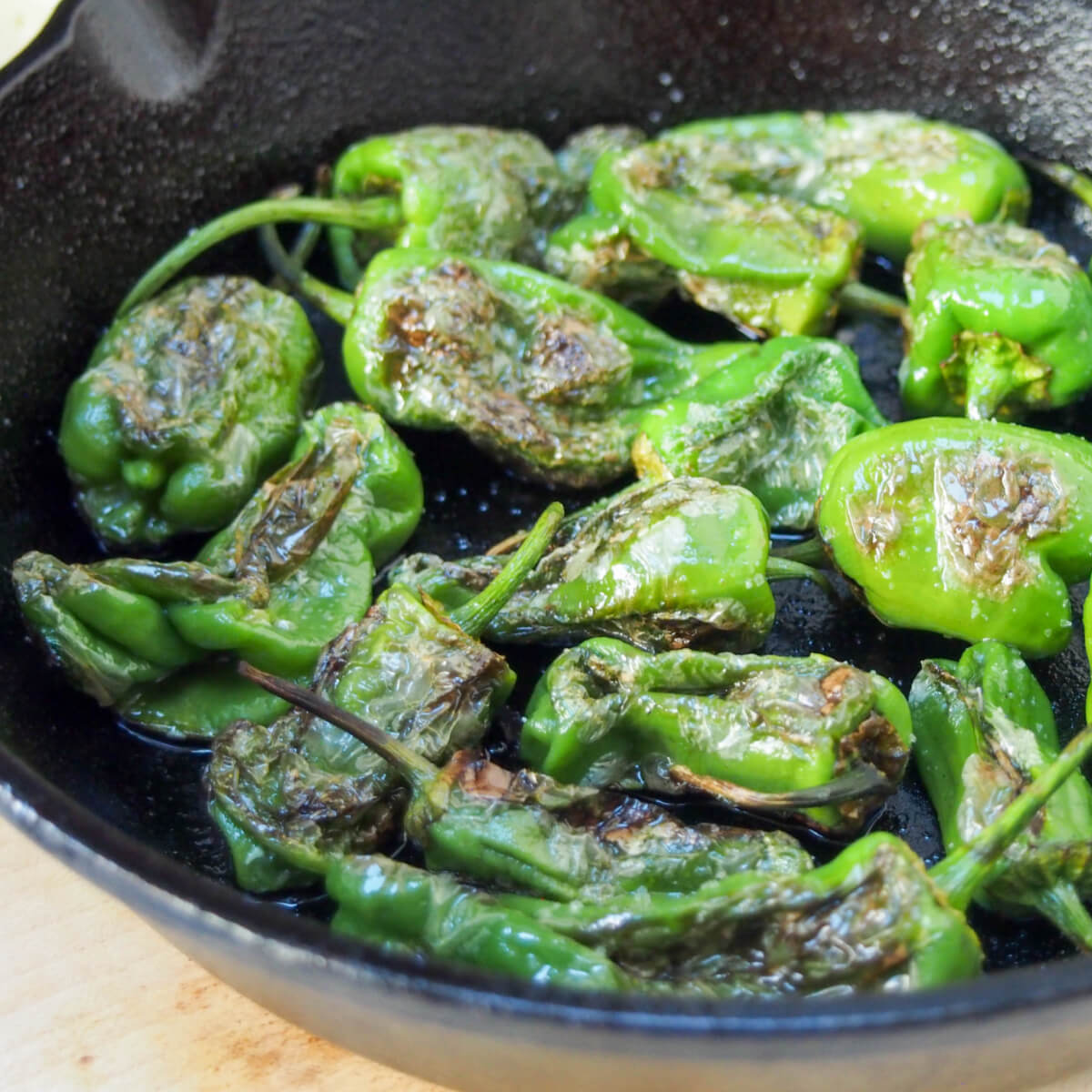 Blistered Padron peppers (pimientos de Padrón) - Caroline's Cooking